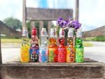 Japanske Sodavand Smagekassen Ramune