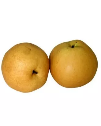 Korean Singo (Bae) Pear 1 stk.