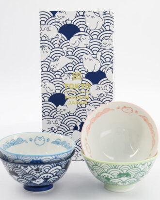 Kawaii Anime Cat Rice Bowl Giftset 4pcs