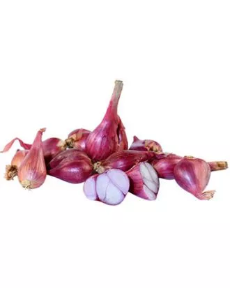 Skalotteløg thai 200g. (Allium Ascalonicum)